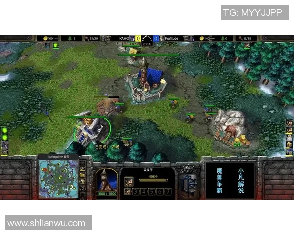 哪里可以看魔兽争霸比赛-魔兽争霸比赛观看指南，赛事直播与精彩回顾全攻略-哪里可以看魔兽争霸比赛